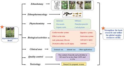 Frontiers | The Invasive Species Reynoutria japonica Houtt. as a 